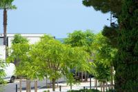 a group of trees on the side of a street at Studio avec vue sur la mer et balcon amenage a Le Barcares in Le Barcarès