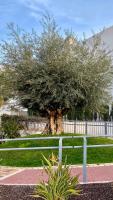 Plán poschodí v ubytovaní Mar de Pulpi Andalousie - Appartement "Chez les filles"
