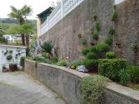 Zahrada ubytování Apartment Milotić