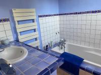 a blue and white bathroom with a tub and a sink at Mas des IRIS in Saint-Rémy-de-Provence