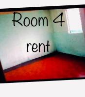 Zebu Trancients - Housity