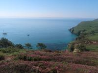a view of the ocean from a hill with flowers at Holiday Home Ker Kébec by Interhome in Crozon