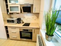 Kuchyňa alebo kuchynka v ubytovaní Markowe Apartamenty Złoty Park