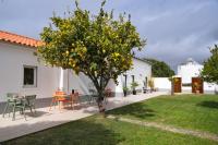 Zahrada ubytování Flamboyant Boutique B&B