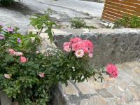 a bunch of pink flowers on a stone wall at 寧靜的家14人Villa獨立設施包棟戲水池烤肉區麻將廚房私人停車場 in Hengchun South Gate