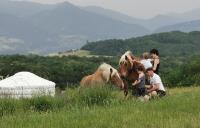 a group of people in a field with two horses at Drome esprit nature in Le Poët-Célard