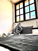 Łóżko lub łóżka w pokoju w obiekcie Fakanalas Fogadó