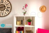 The library in Az apartmant