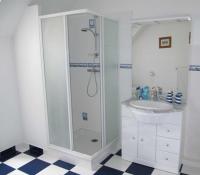 a white bathroom with a shower and a sink at Les petits chenes in La Pellerine
