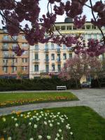 Zahrada ubytování Interhotel Central