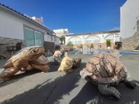 Půdorys ubytování TENERIFE LITTLE VILLAGE 1D