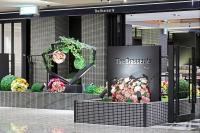 Un escaparate con flores y plantas en exhibición. en Hotel Nikko Kansai Airport - 3 mins walk to the airport, en Izumisano