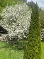 Plán poschodí v ubytovaní Ferienhaus am Fritzbach