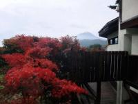 a tree with red leaves in front of a house at Guesthouse Sakuya in Fujikawaguchiko