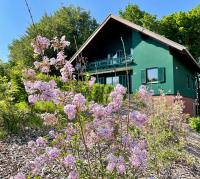 Zahrada ubytování Chalet beim Georgi Schloss