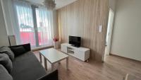 A television and/or entertainment centre at 2 room apartment with terrace, Prievozska street