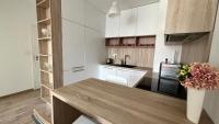 A kitchen or kitchenette at 2 room apartment with terrace, Prievozska street