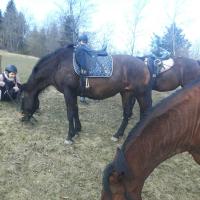 Plán poschodí v ubytovaní Osada Konna ASSANYA Rezydencja Assanya