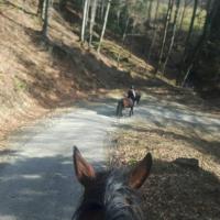 Plán poschodí v ubytovaní Osada Konna ASSANYA Rezydencja Assanya