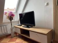 Televízia a/alebo spoločenská miestnosť v ubytovaní Apartmán Zelený dom 43