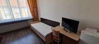 Televízia a/alebo spoločenská miestnosť v ubytovaní Rooms Lara