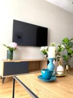 Televízia a/alebo spoločenská miestnosť v ubytovaní P&A APARTAMENT