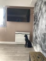 a black dog sitting in the corner of a room at Nouveau !! Bel appartement à Fécamp tout près de la plage, gare et voie verte in Fécamp