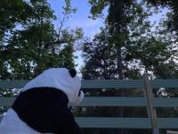 Plán poschodí v ubytovaní La cabane du Panda