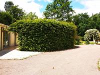 a large green bush in front of a house at Gîte 2 personnes, proche mer in Challans