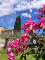 A garden outside Agriturismo San Sano