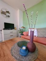 TV a/nebo společenská místnost v ubytování Studio apartman Krosna