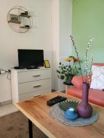 TV a/nebo společenská místnost v ubytování Studio apartman Krosna