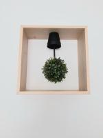 a black lamp and a green plant in a window at Le travers (centre ville Joigny) in Joigny