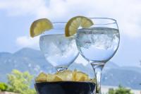 Dos vasos de agua con patatas fritas y rodajas de lima encima. en Hotel Alta Garrotxa, en Tortellà