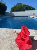 Basen w obiekcie Chalets conilizate 12 pax piscina 300mts playa lub w pobliżu