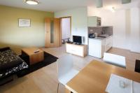 Kuchyň nebo kuchyňský kout v ubytování Apartmán Stará škola