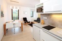 Kuchyň nebo kuchyňský kout v ubytování Apartmán Stará škola