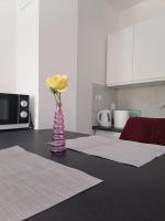Kuchyňa alebo kuchynka v ubytovaní Leona apartment Vidikovac, Pula