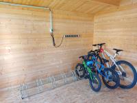 Jízda na kole v ubytování Pan Haus Bad Goisern nebo okolí