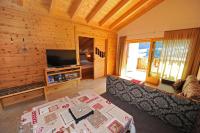 Una sala de estar con un sofá y un televisor. en Mountain Apartment Hapeli, en Ortisei