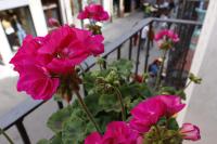 Půdorys ubytování Chueca Jacuzzi