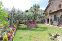 A garden outside Mikipong