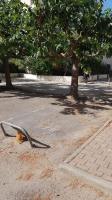 Plán poschodí v ubytovaní Studio cabine climatisé rez de jardin plage 150m Boucanet