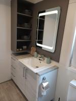 a bathroom with a sink and a mirror at CHARTA Mobile Home Meon in Drage