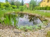 Táj az apartman közelében