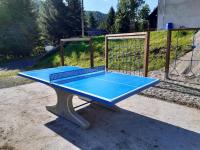 Stolní tenis v ubytování Pension Lesná nebo okolí