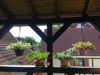 Balkon lub taras w obiekcie Bienvenue en Alsace