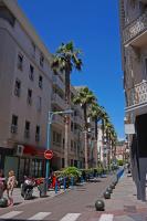 a street with palm trees on a city street at Three bedroom two bathroom apartment in center of Cannes on quiet street minutes from the Palais - 2002 in Cannes