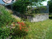 Vonkajšia záhrada v ubytovaní la petite maison d'Albert