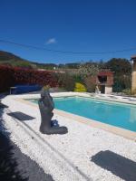 a statue sitting next to a swimming pool at Villa de vacances avec piscine chauffée proche d Anduze in La Barriére